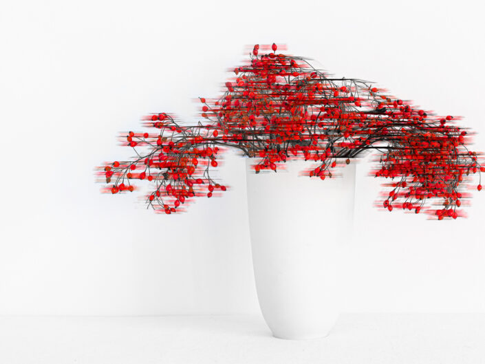 Minimalistic still life with vase